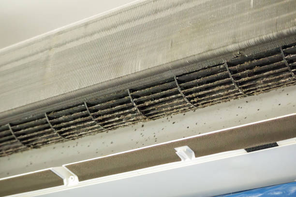 Best Emergency Air Duct Cleaning  in Grasonville, MD
